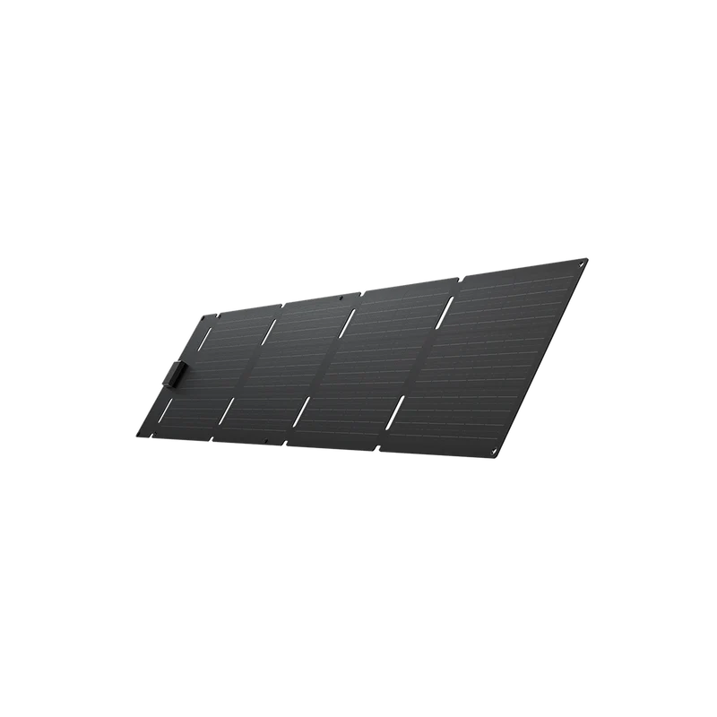 Panneau solaire portable EcoFlow 60 W